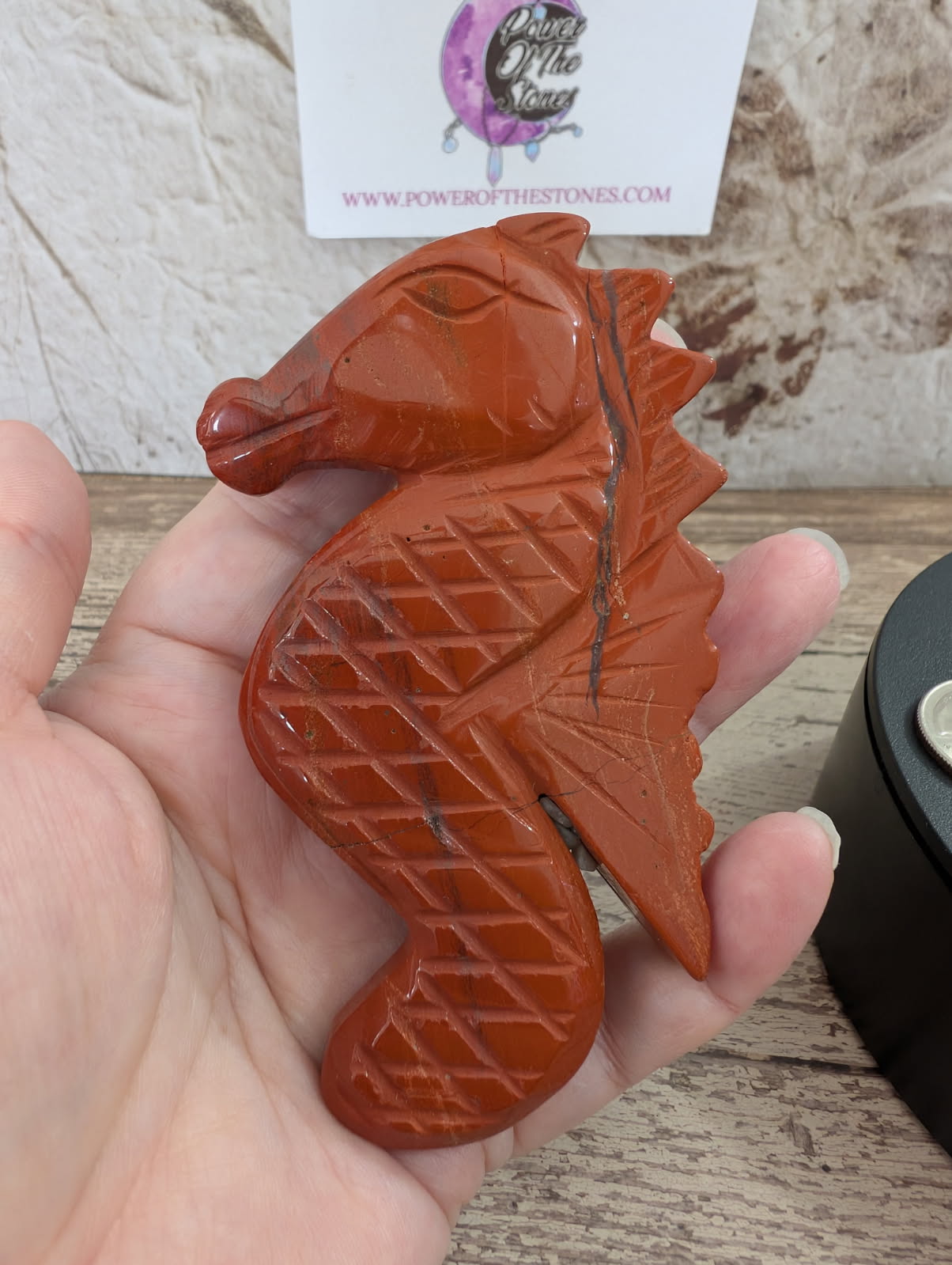 Red Jasper flat seahorse