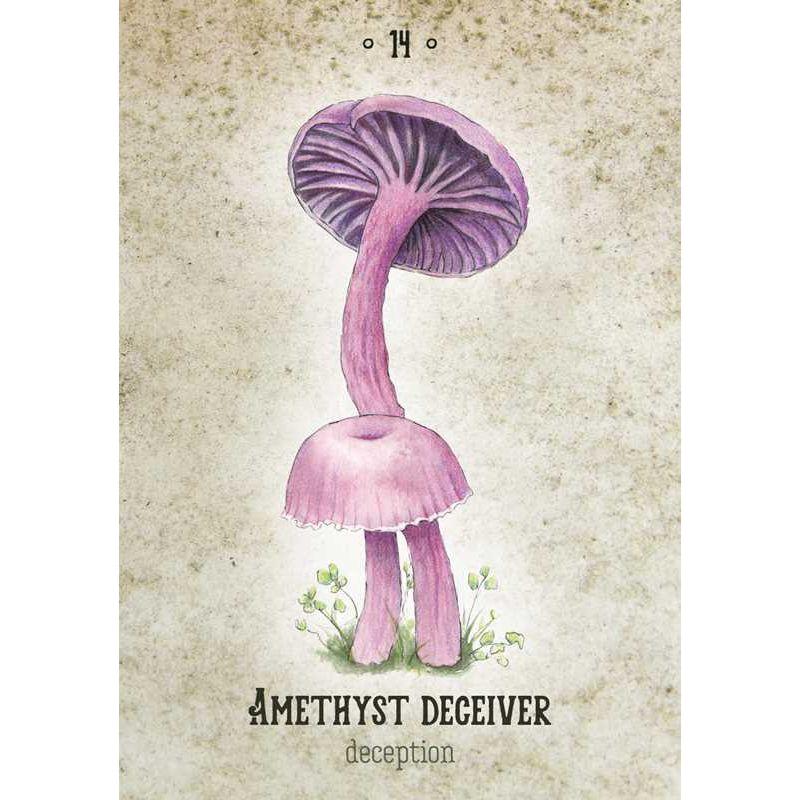 Mushroom Spirit Oracle Deck by Nicola McIntosh – 36 Illustrated Cards &amp; Guidebook