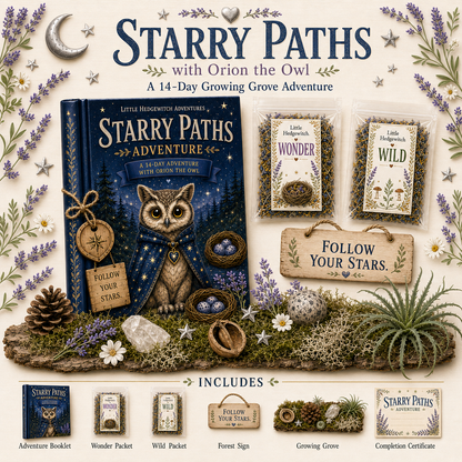 Moonlit Wishes Adventure Kit | Imagination Wonder Activity for Kids | Raccoon Companion Gift | Growing Grove Collection | Kids Nature Kit