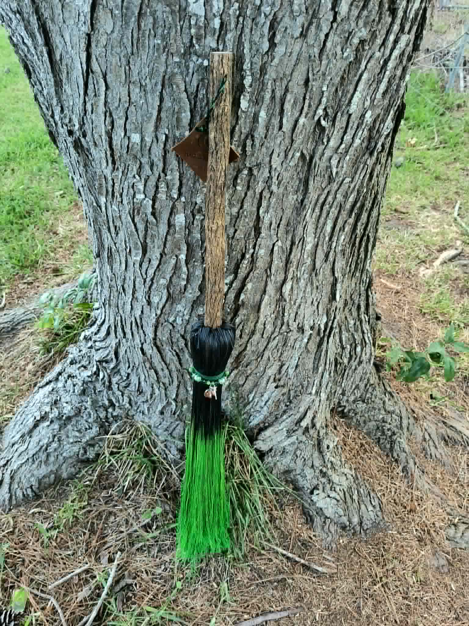 Witch Way to Oz