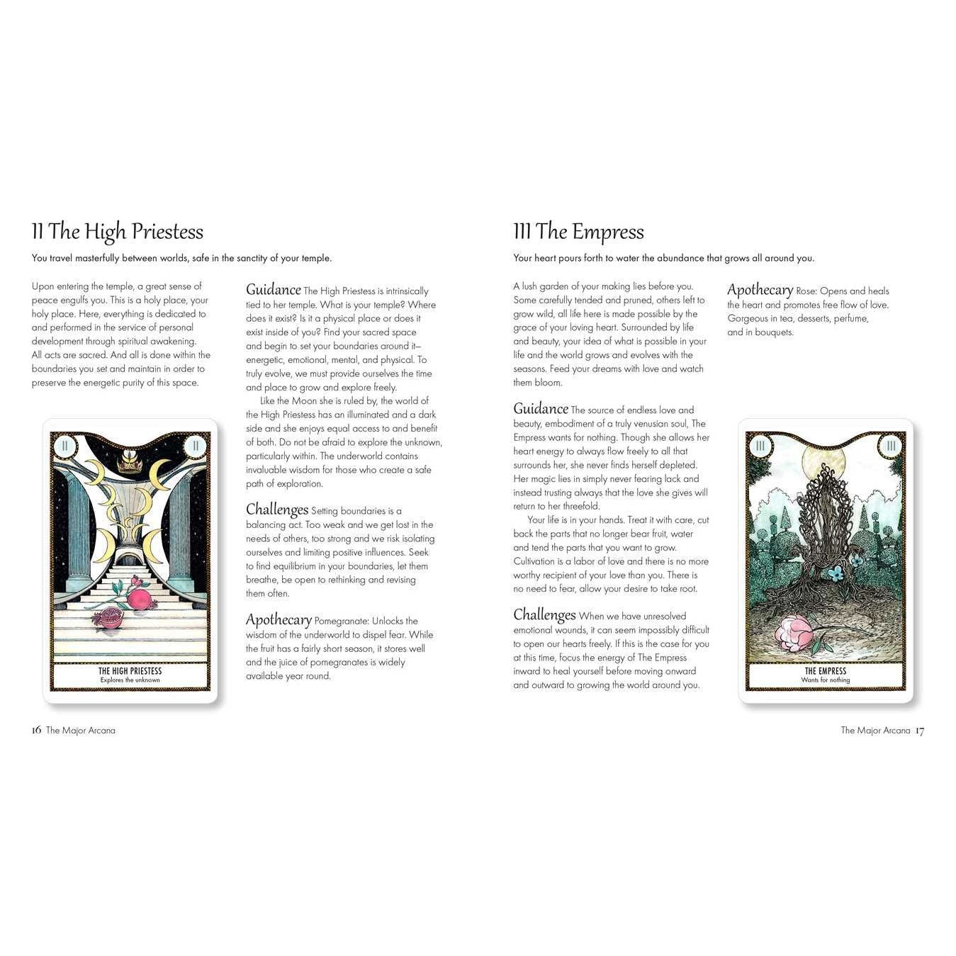 Elemental Power Tarot Deck by Melinda Lee Holm – 78 Symbol-Rich Cards + Guidebook