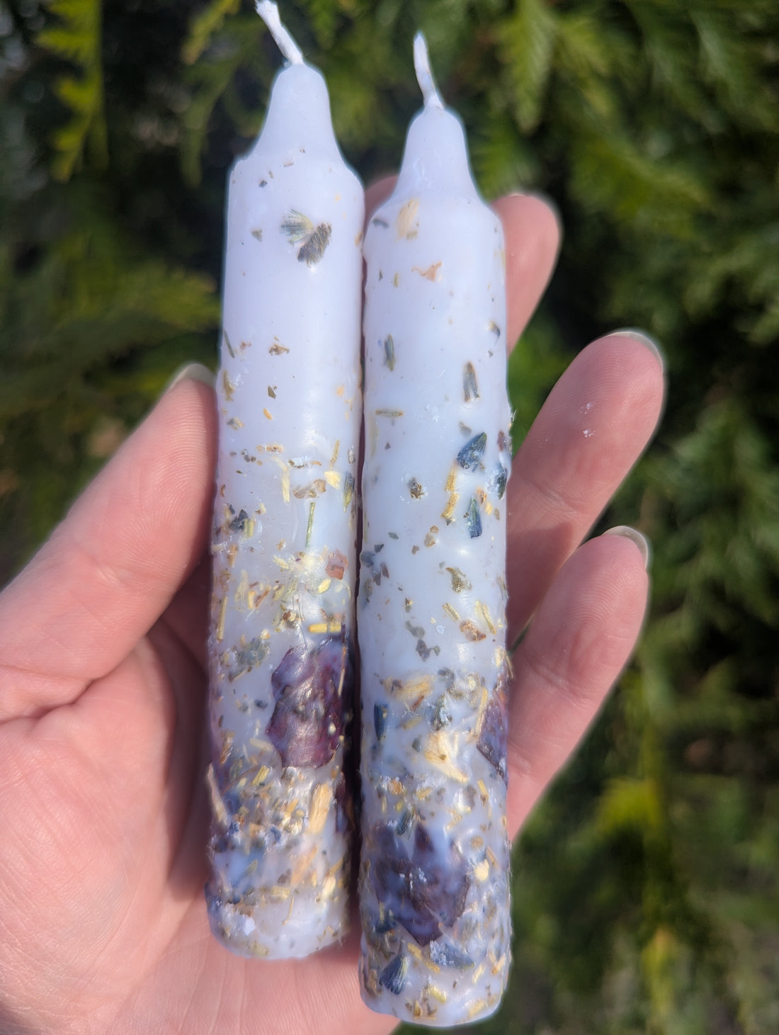 The Homecoming Ritual Duo