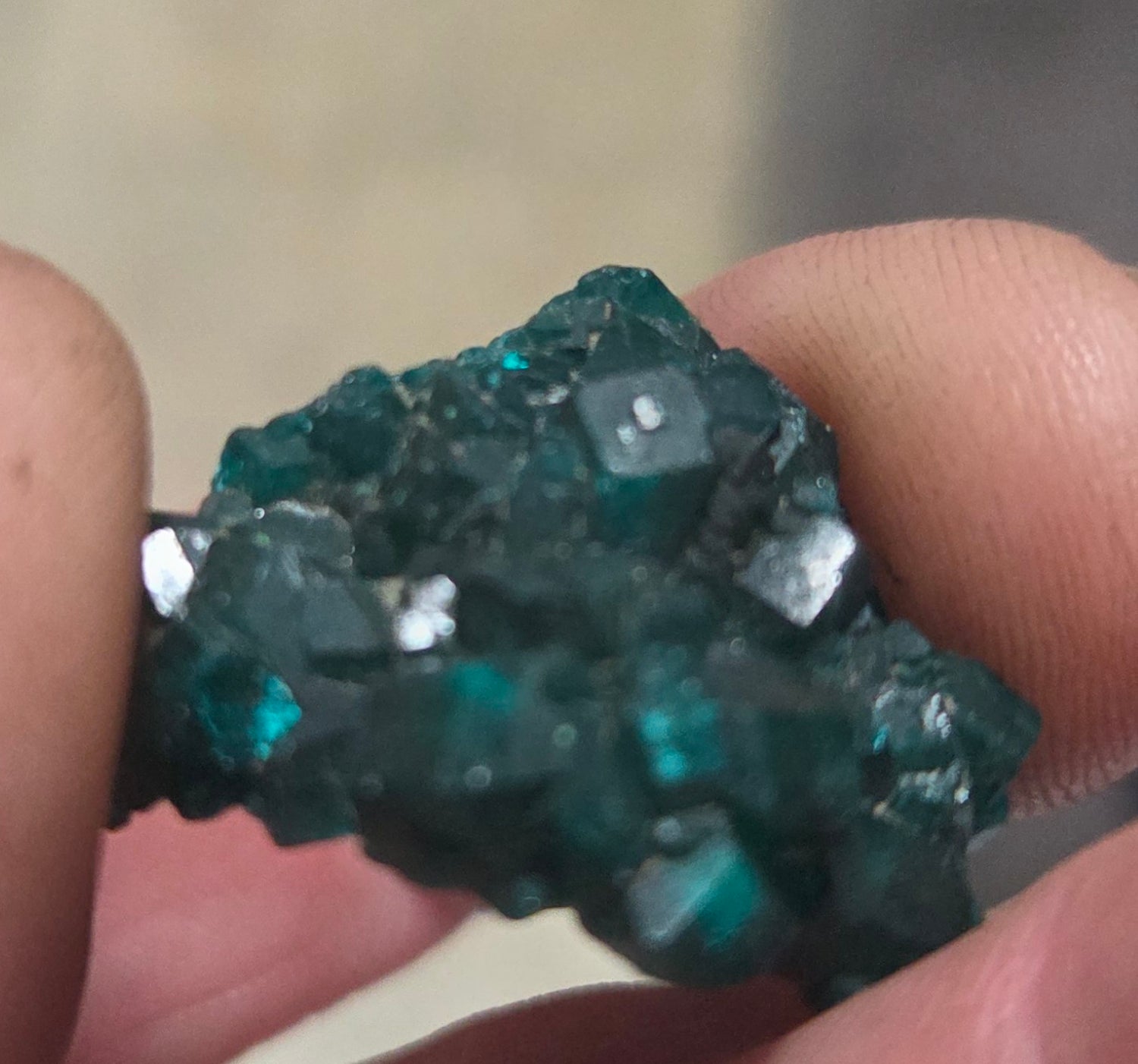 Dioptase crystals