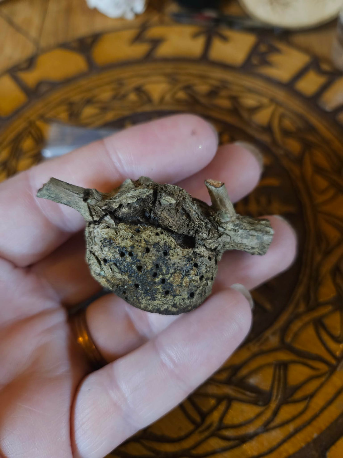 Oak Gall Trio + Protection Charm Spell | Forest Witchcraft Tool | Liminal Magic | Ward Kit | Ancestral Offering
