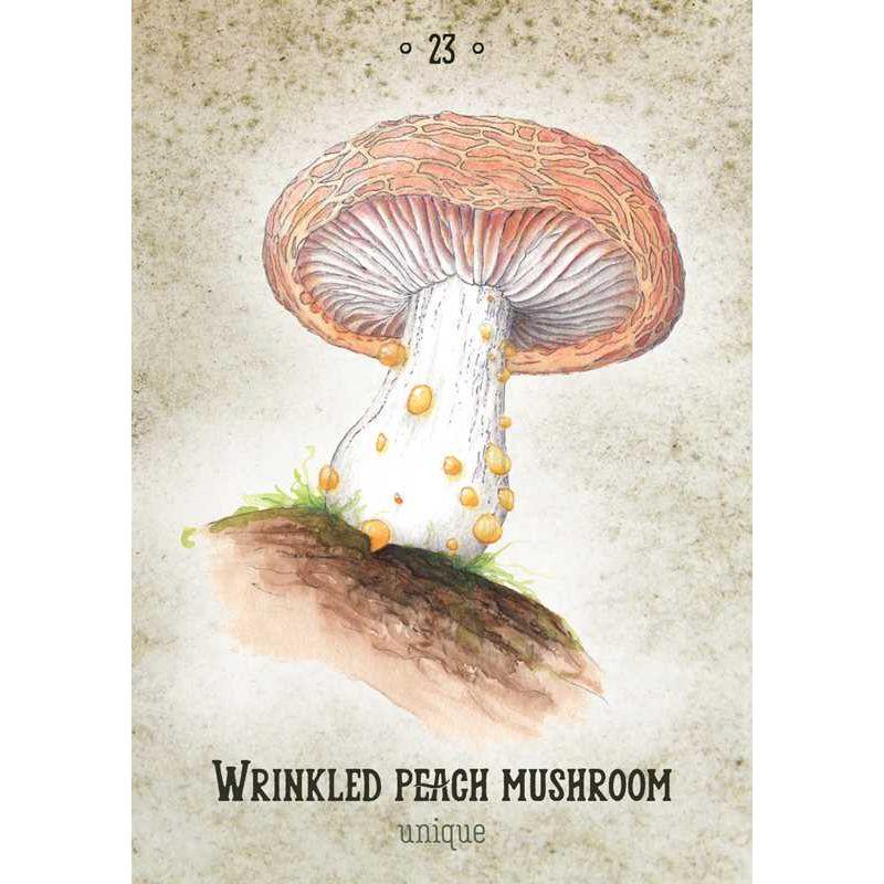 Mushroom Spirit Oracle Deck by Nicola McIntosh – 36 Illustrated Cards &amp; Guidebook