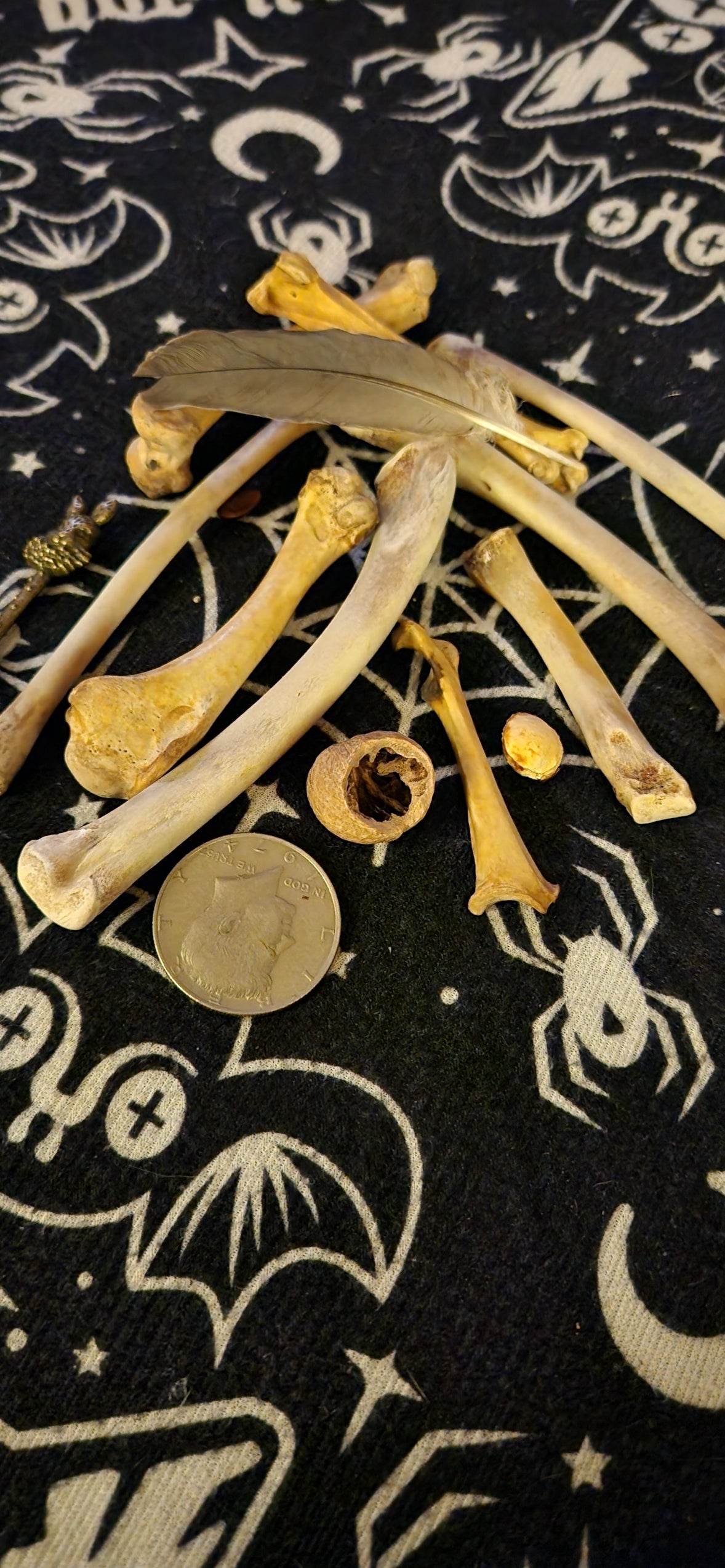 Bone Readings