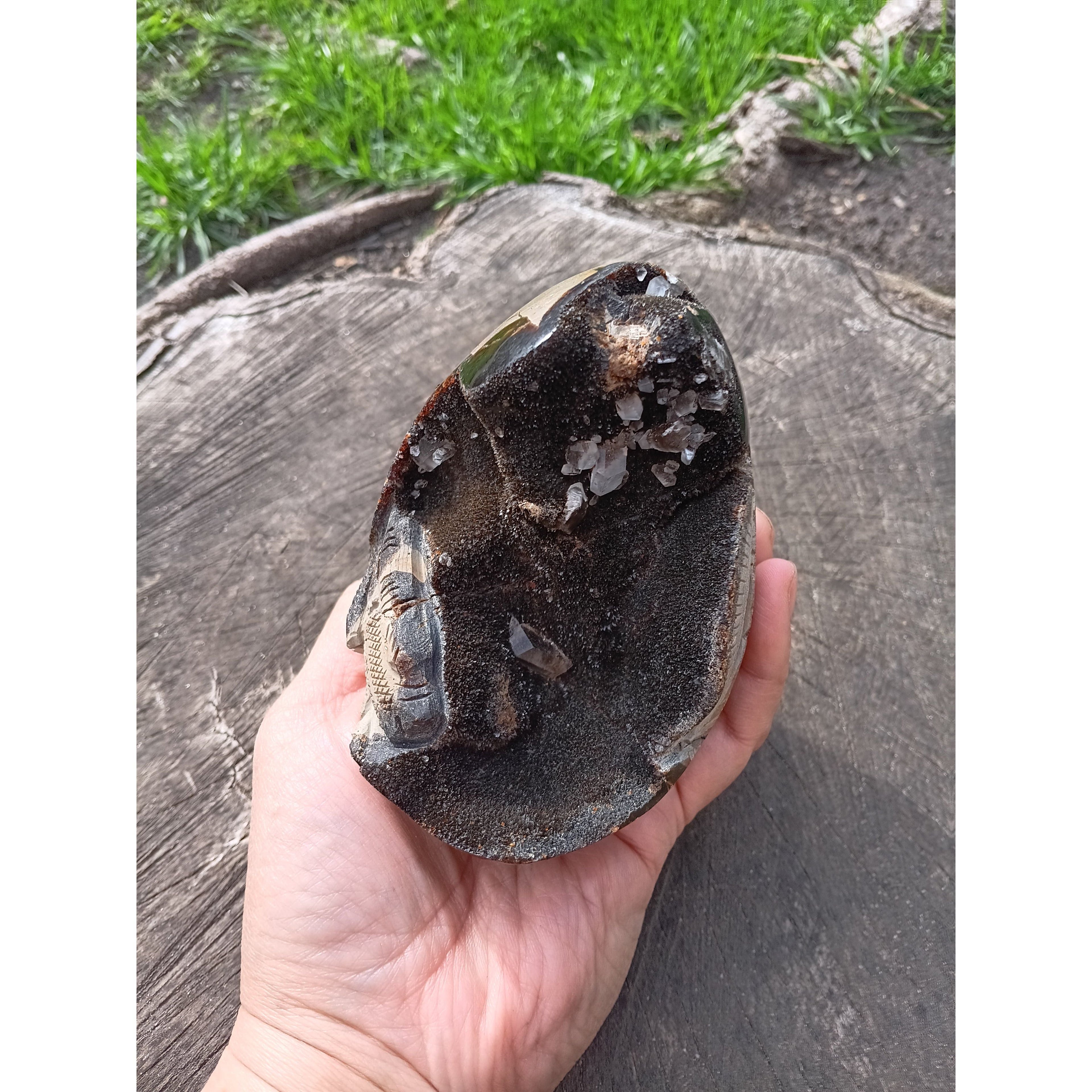 Septarian Dragon Egg | Grounding &amp; Ancient Wisdom | 4.75" 2lb Crystal