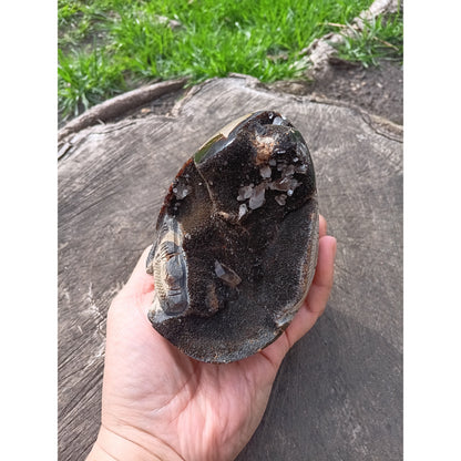 Septarian Dragon Egg | Grounding &amp; Ancient Wisdom | 4.75" 2lb Crystal