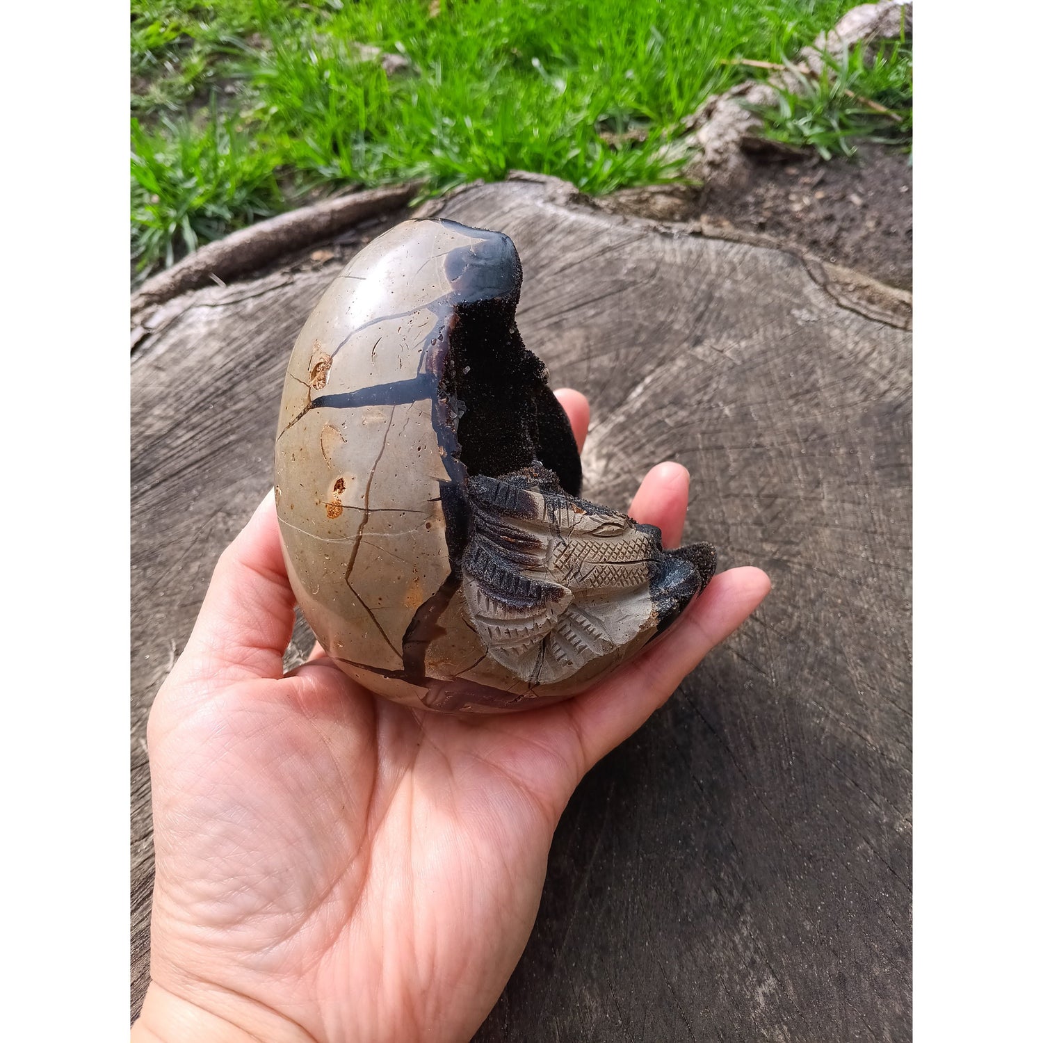 Septarian Dragon Egg | Grounding &amp; Ancient Wisdom | 4.75" 2lb Crystal