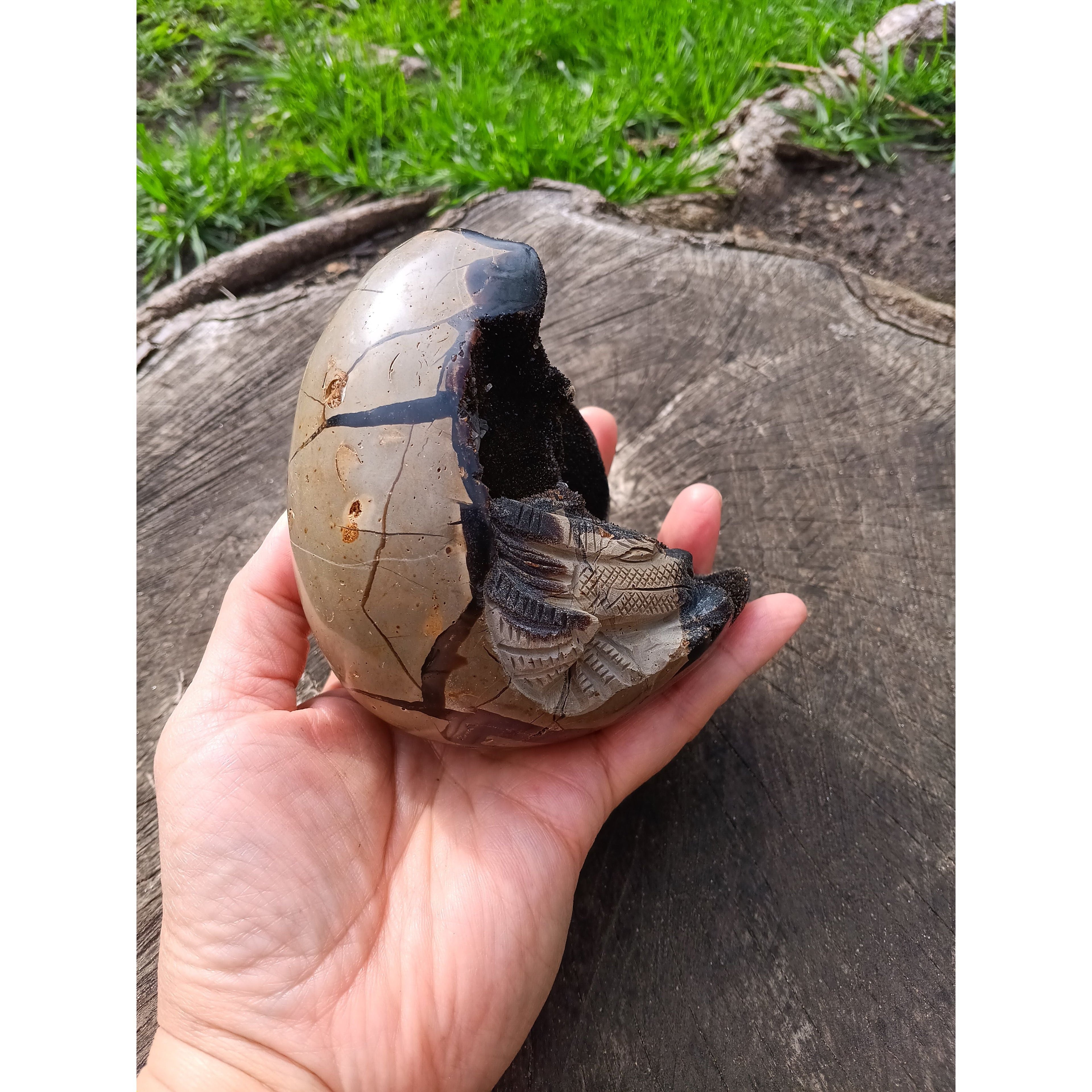 Septarian Dragon Egg | Grounding &amp; Ancient Wisdom | 4.75" 2lb Crystal