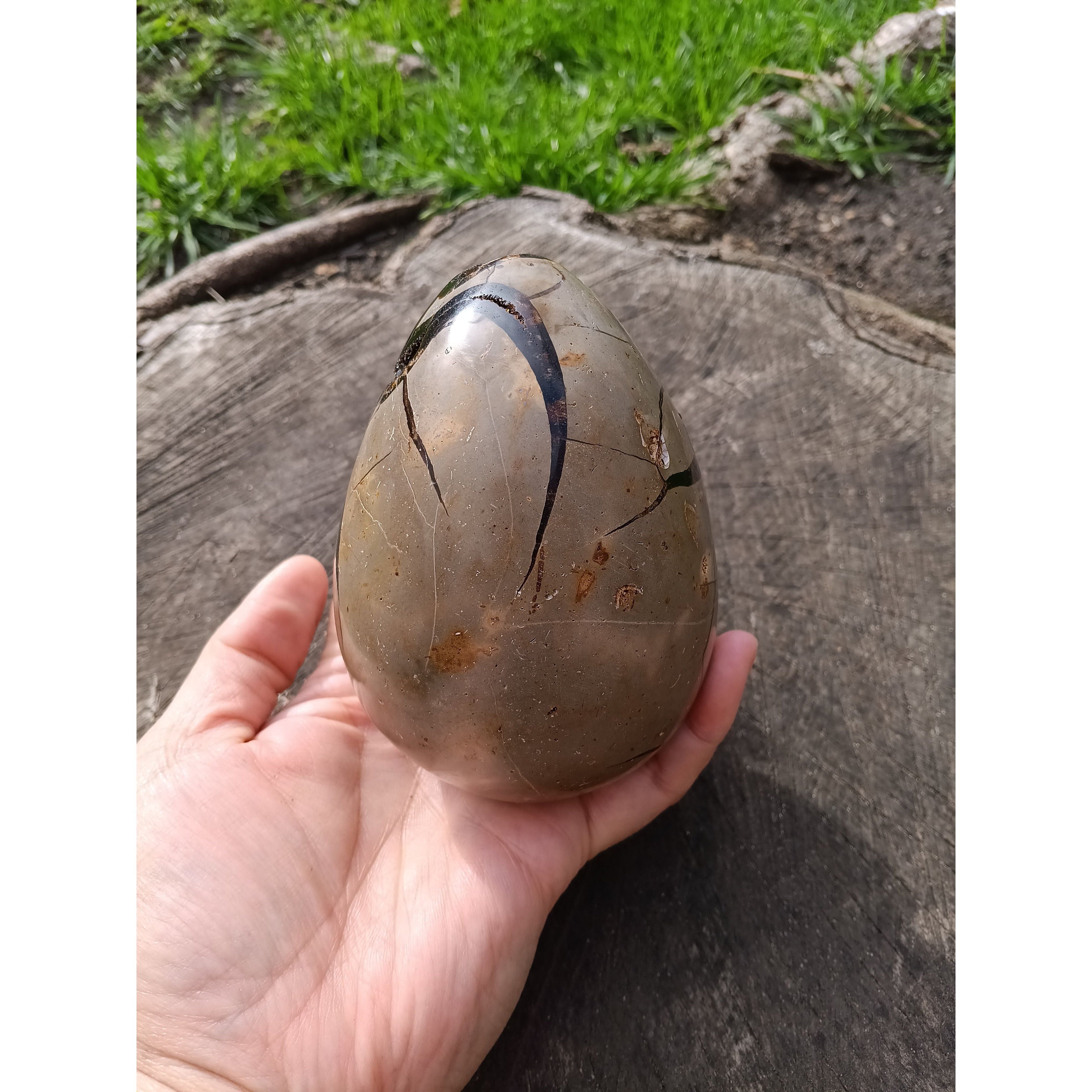 Septarian Dragon Egg | Grounding &amp; Ancient Wisdom | 4.75" 2lb Crystal