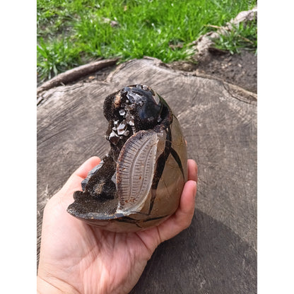 Septarian Dragon Egg | Grounding &amp; Ancient Wisdom | 4.75" 2lb Crystal