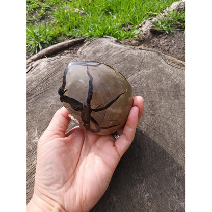 Septarian Dragon Egg | Grounding &amp; Ancient Wisdom | 4.75" 2lb Crystal