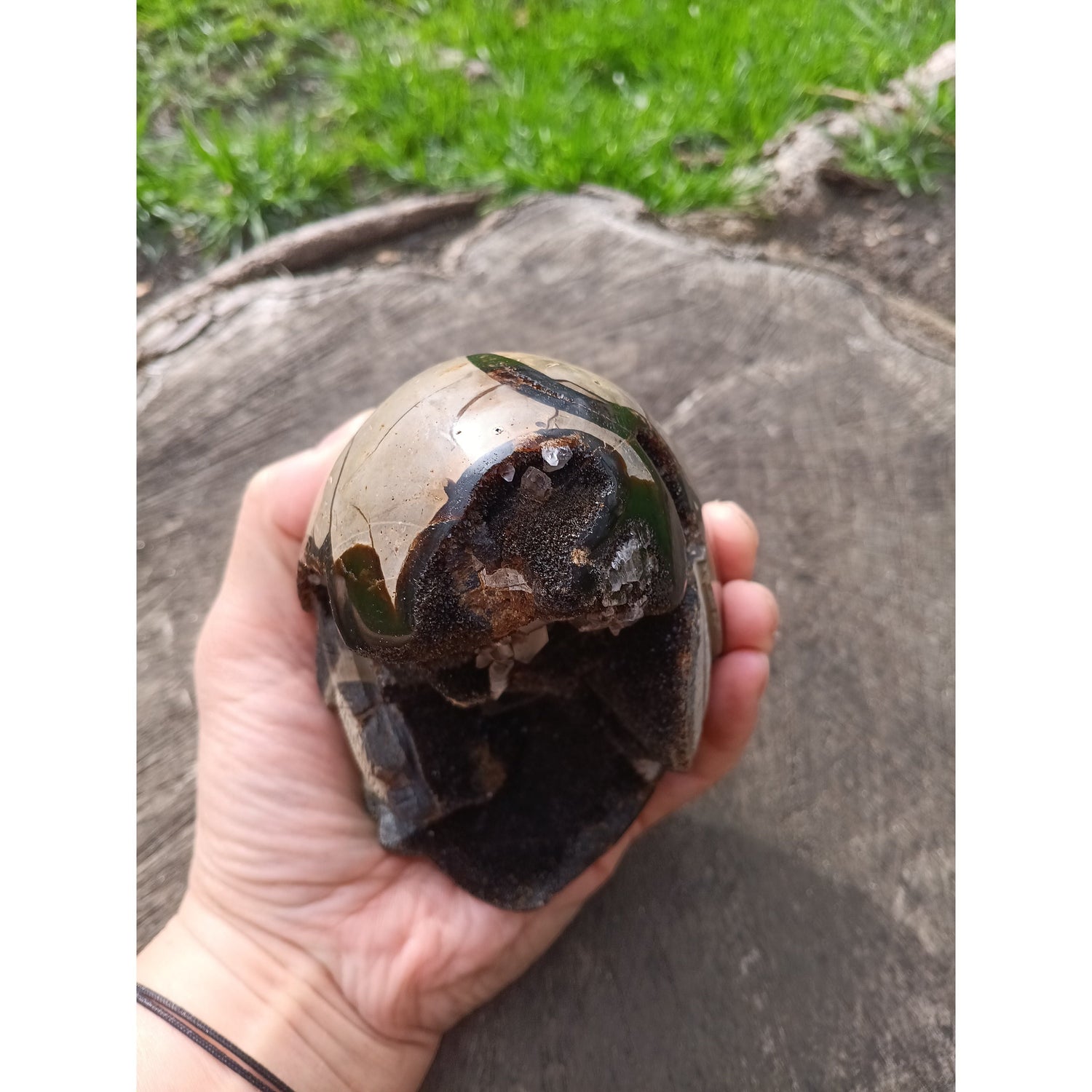 Septarian Dragon Egg | Grounding &amp; Ancient Wisdom | 4.75" 2lb Crystal