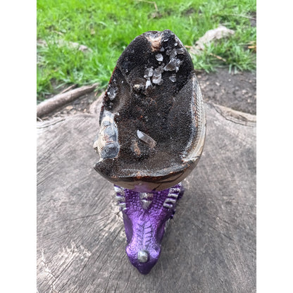 Septarian Dragon Egg | Grounding &amp; Ancient Wisdom | 4.75" 2lb Crystal