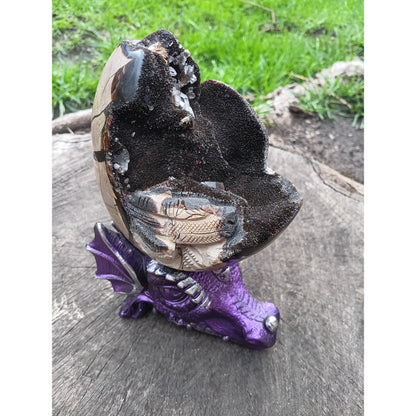 Septarian Dragon Egg | Grounding &amp; Ancient Wisdom | 4.75" 2lb Crystal