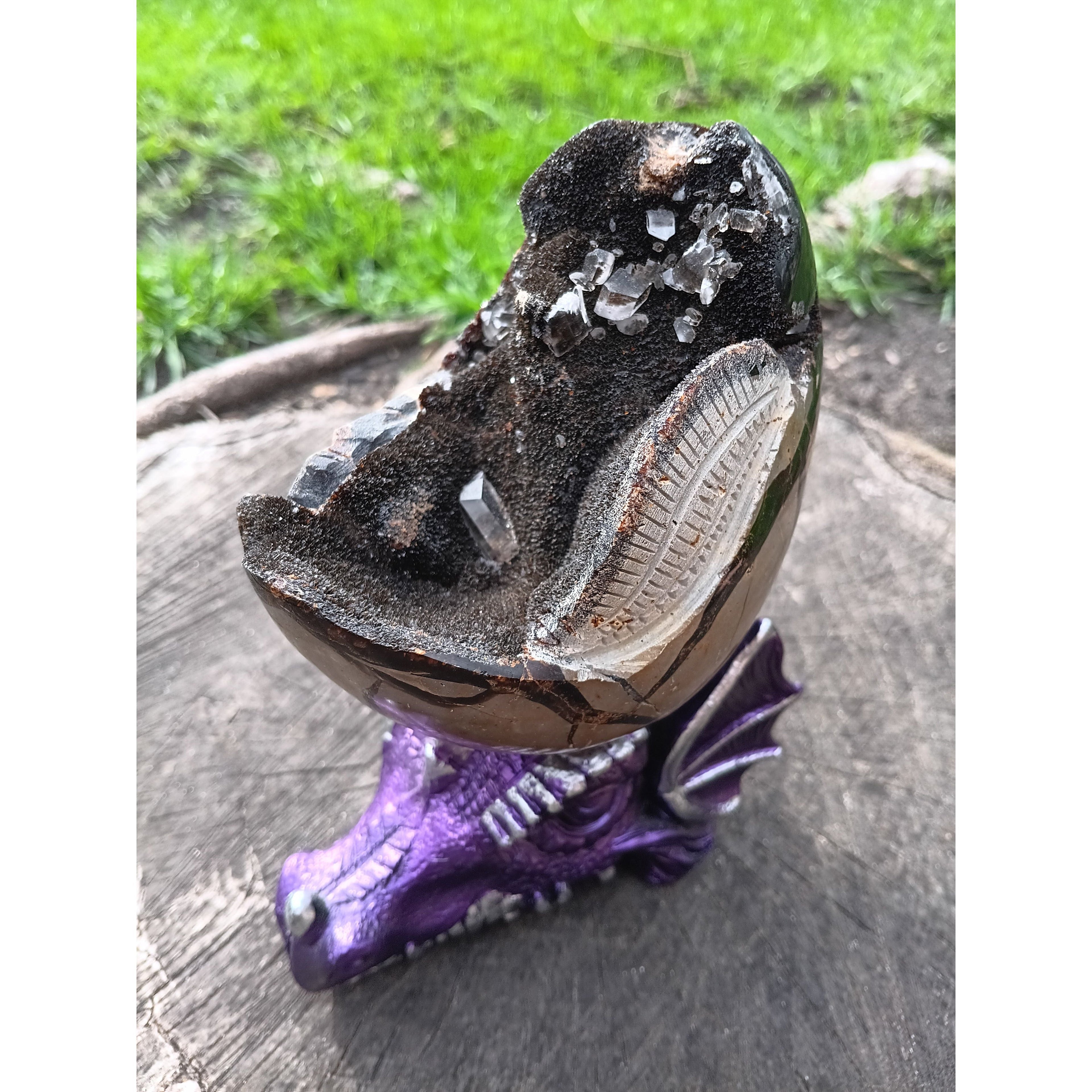 Septarian Dragon Egg | Grounding &amp; Ancient Wisdom | 4.75" 2lb Crystal