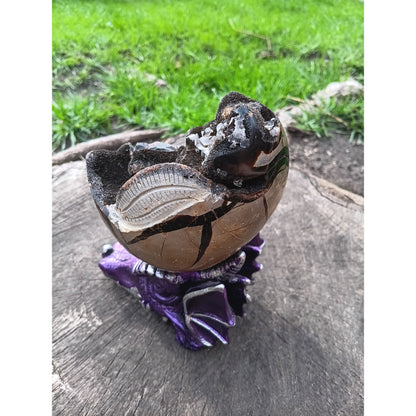 Septarian Dragon Egg | Grounding &amp; Ancient Wisdom | 4.75" 2lb Crystal