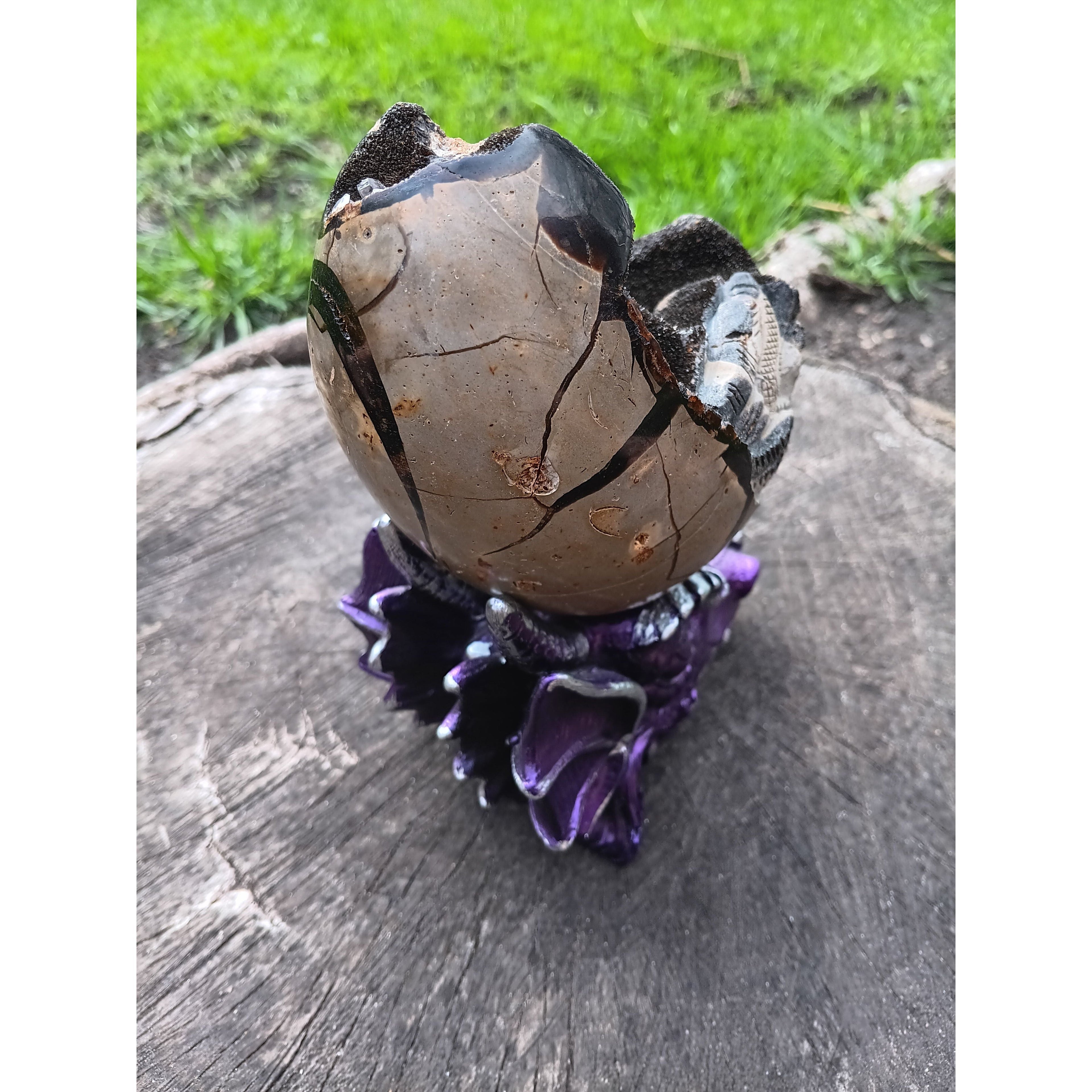 Septarian Dragon Egg | Grounding &amp; Ancient Wisdom | 4.75" 2lb Crystal