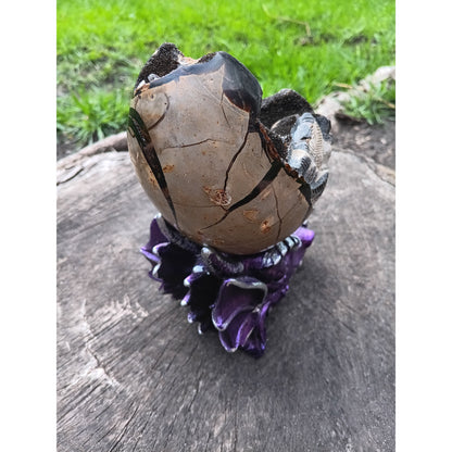 Septarian Dragon Egg | Grounding &amp; Ancient Wisdom | 4.75" 2lb Crystal