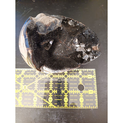Septarian Dragon Egg | Grounding &amp; Ancient Wisdom | 4.75" 2lb Crystal