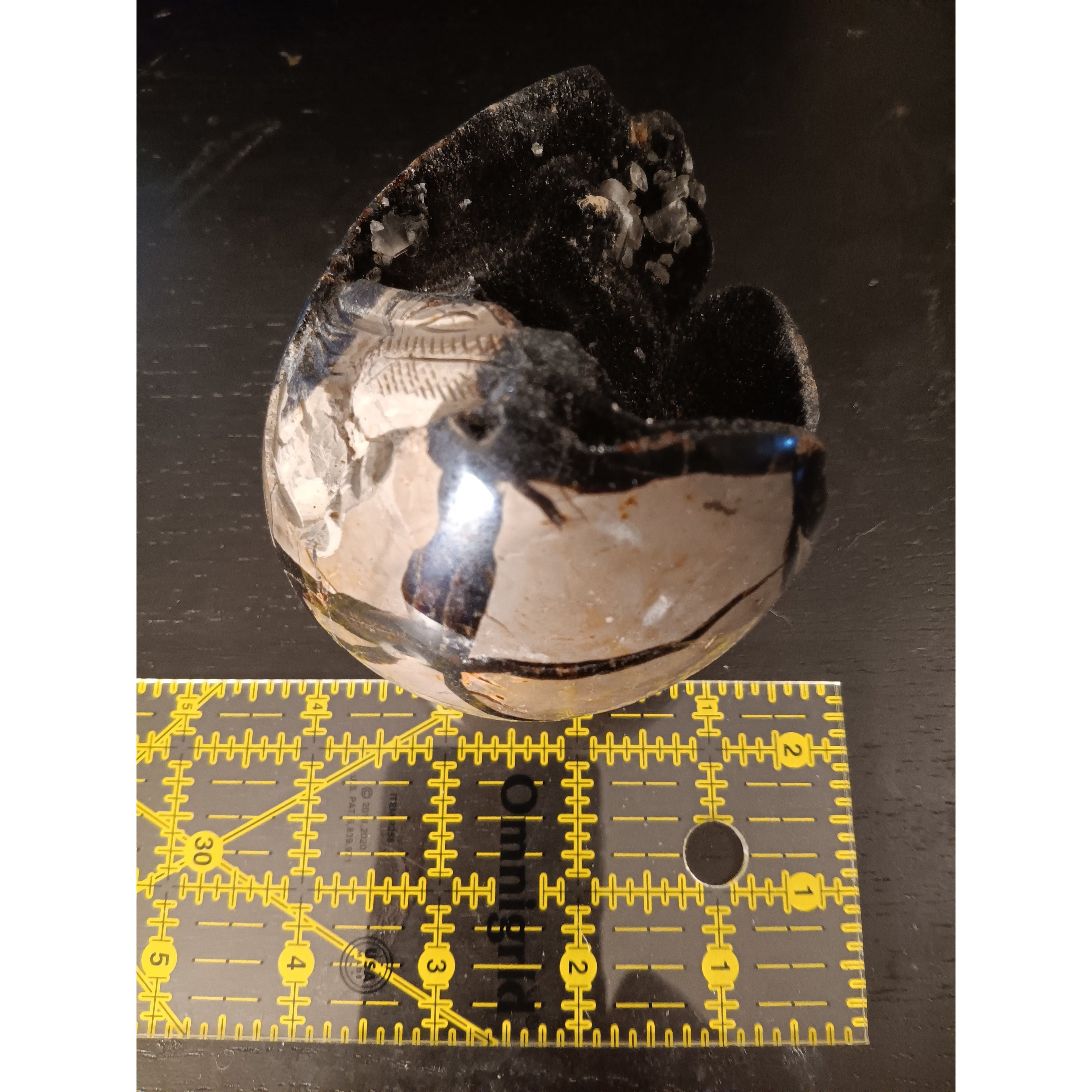 Septarian Dragon Egg | Grounding &amp; Ancient Wisdom | 4.75" 2lb Crystal