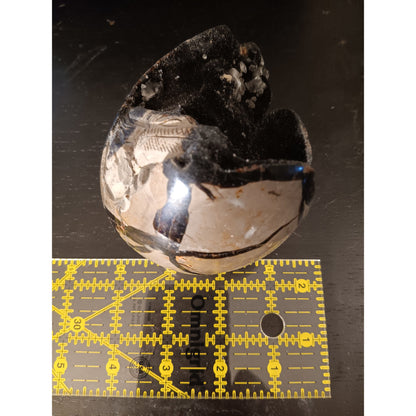Septarian Dragon Egg | Grounding &amp; Ancient Wisdom | 4.75" 2lb Crystal