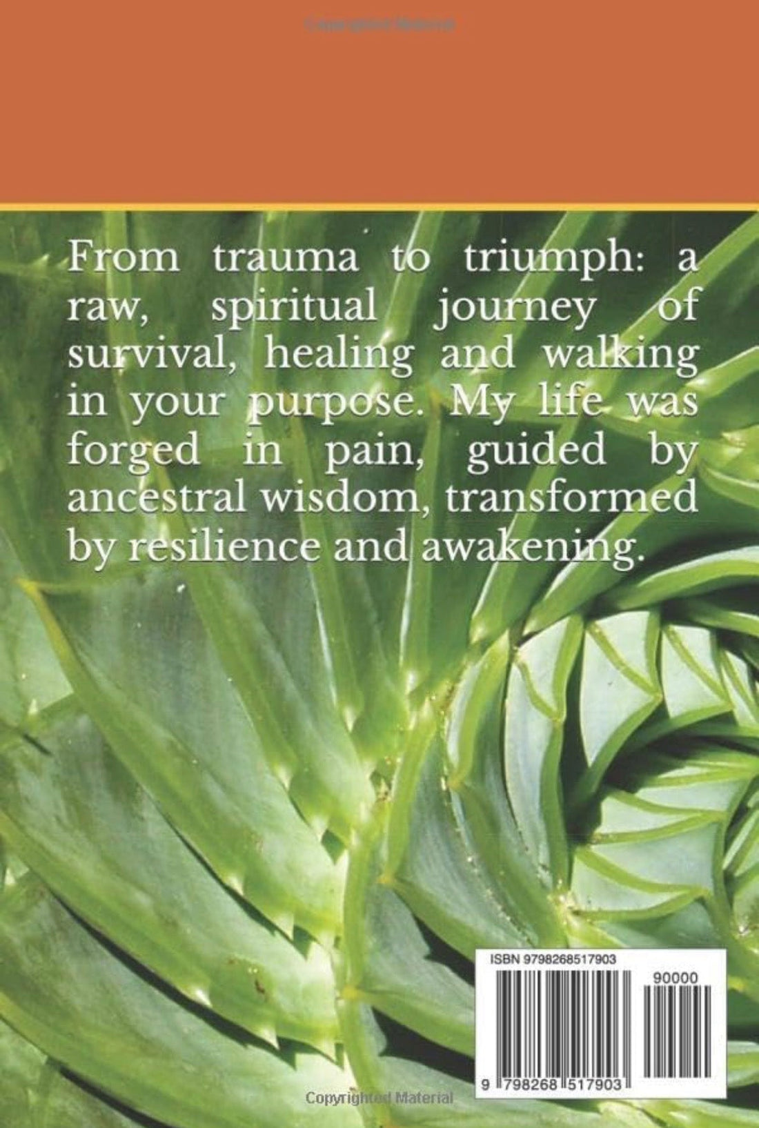 Awakening Through Shadows