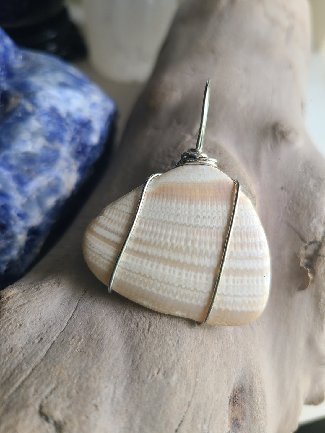 Natural seashell pendant