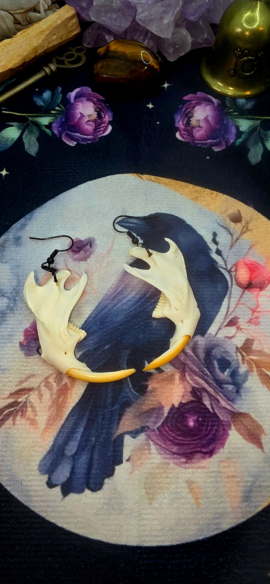 Muskrat Jaw Bone Earrings - Nature&
