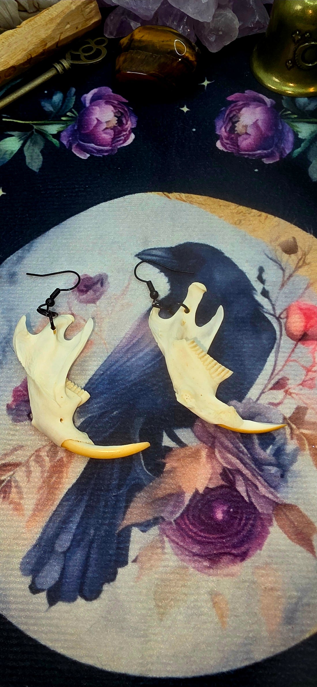 Muskrat Jaw Bone Earrings - Nature&