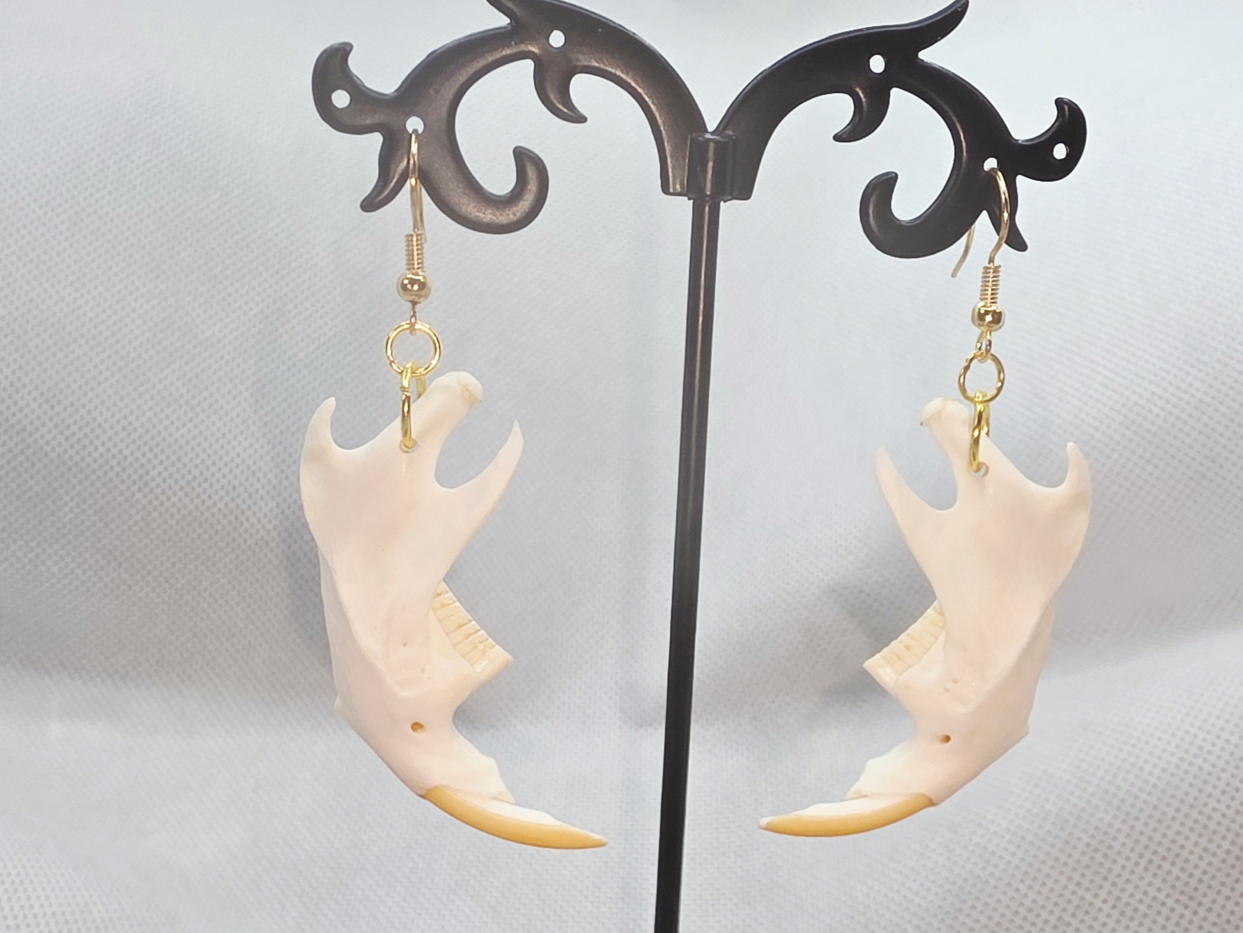 Muskrat Jaw Bone Earrings - Nature&
