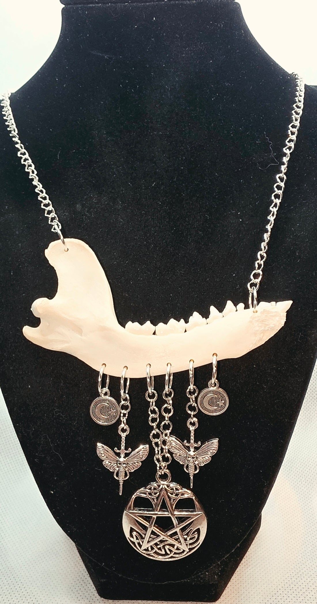 Gothic Raccoon Jaw Bone Charm Necklace