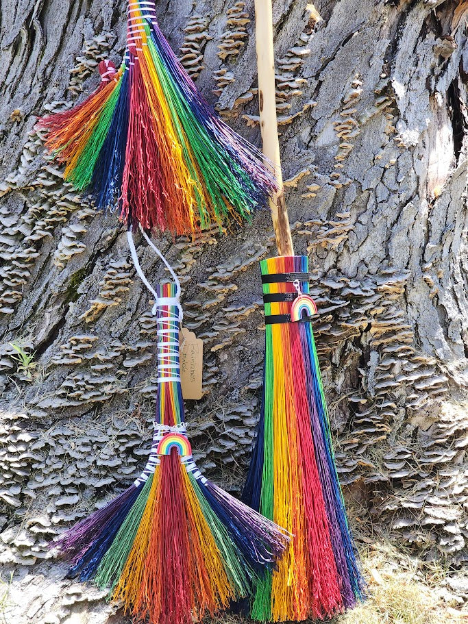 Rainbow Rooster Tail Broom