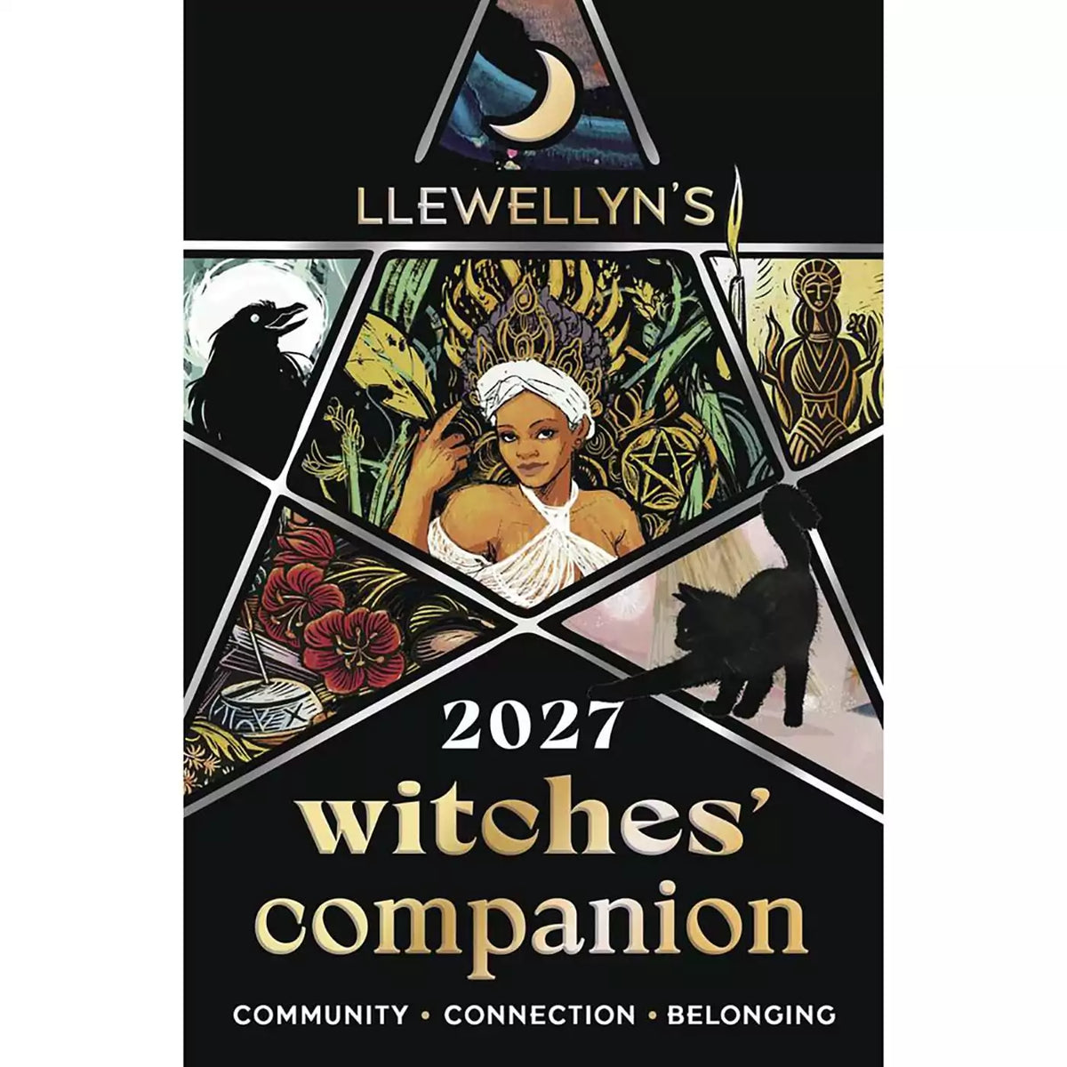 Cover of Llewellyn&