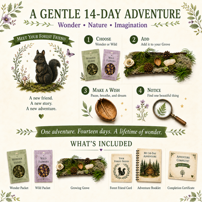 Moonlit Wishes Adventure Kit | Imagination Wonder Activity for Kids | Raccoon Companion Gift | Growing Grove Collection | Kids Nature Kit