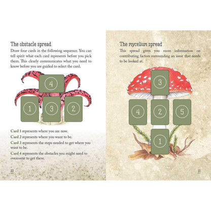 Mushroom Spirit Oracle Deck by Nicola McIntosh – 36 Illustrated Cards &amp; Guidebook