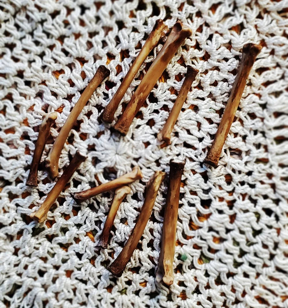 Authentic Black Cat Bone