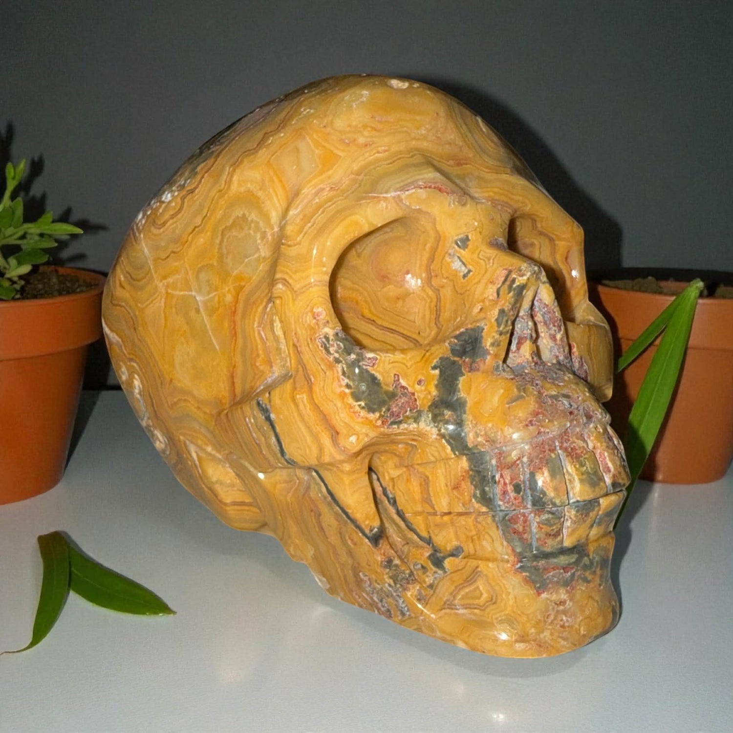 Yellow Crazy Lace Agate Skull – 5” x 4” | 2.98 lbs | Stone of Joy &amp; Vitality