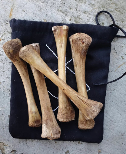 Throwing Bone Set
