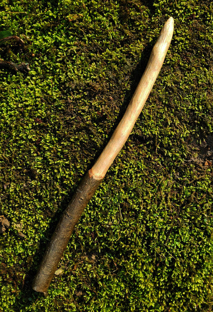 Appalachian Foraged Wand | Handcrafted Wooden Ritual Wand | Natural Witch Wand | Mossbound Wand No. 13