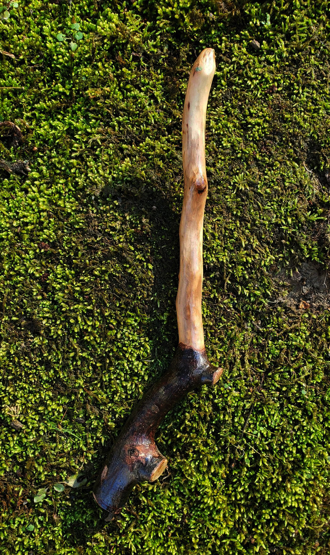 Mossbound Wand | Handcrafted Appalachian Foraged Wood Wand | 12” (No. 9)