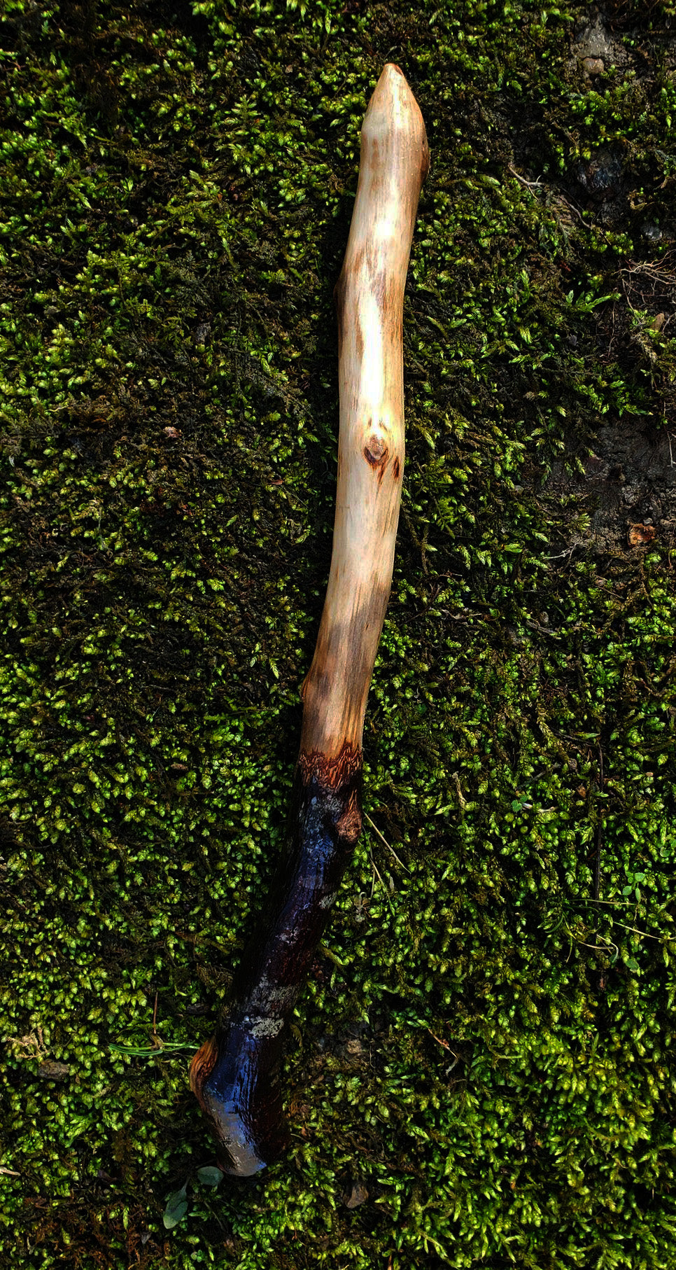 Mossbound Wand | Appalachian Foraged Wood Wand 