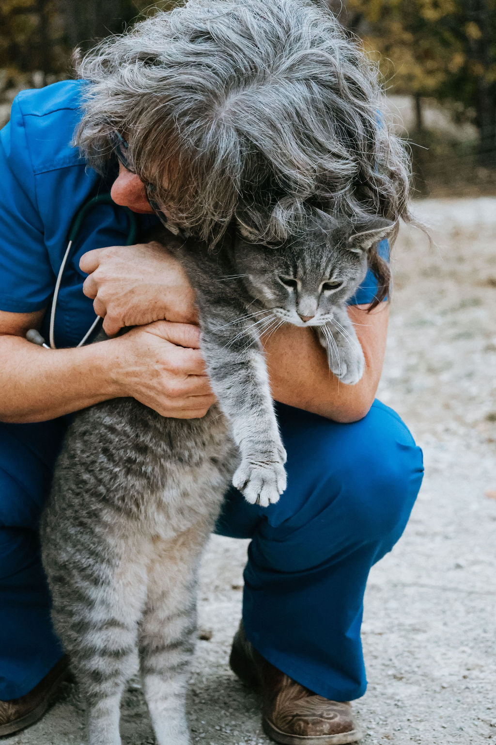 Animal Communication Reading — 30 Minute Video or Phone Session