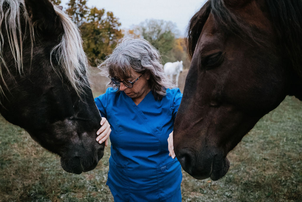 Animal Communication Reading — 30 Minute Video or Phone Session