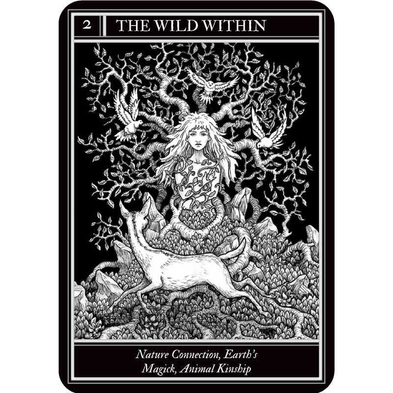 Coven Oracle Deck by Fiona Horne | Witchcraft &amp; Magick