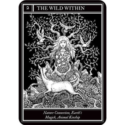 Coven Oracle Deck by Fiona Horne | Witchcraft &amp; Magick
