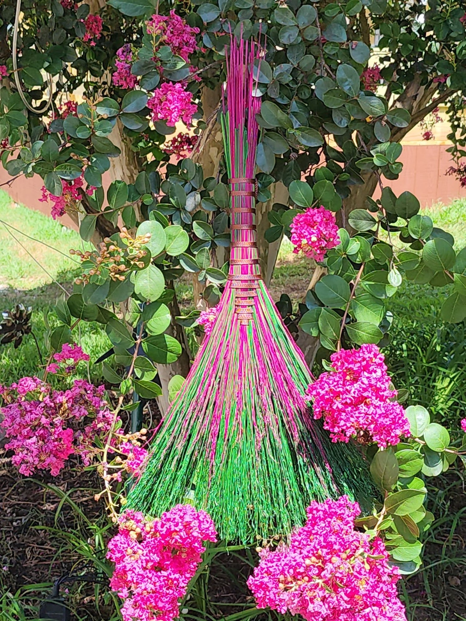 Crepe Myrtle Hawk Tail