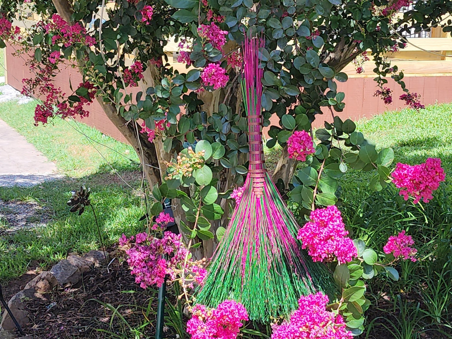 Crepe Myrtle Hawk Tail