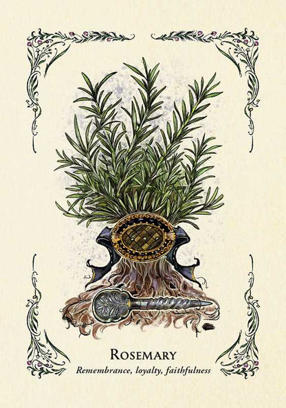 Green Witch&